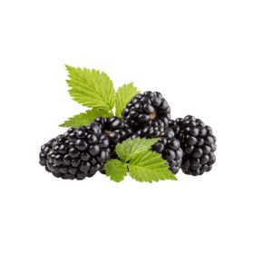 Blackberry UAE