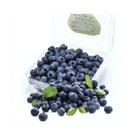 Blueberry USA