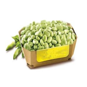 Broad Beans Egypt