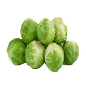 Brussel Sprout Holland