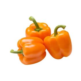 Mini Orange Capsicum Orange Holland