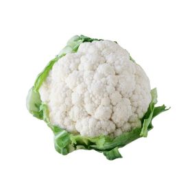 White Cauliflower Holland