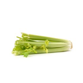 Green Celery Spain