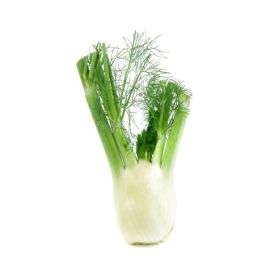 Fennel Italy