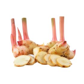Galangal Thailand