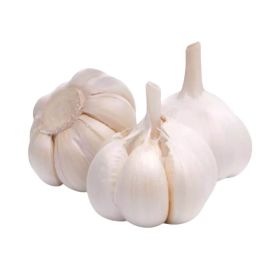 Garlic China
