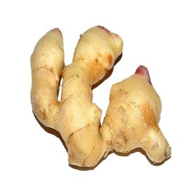 Ginger China