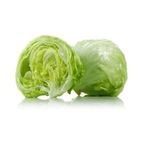 Lettuce Iceberg Iran