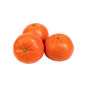 Mandarin Nadorcott South Africa