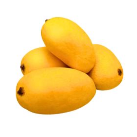 Sindhri Mango Pakistan