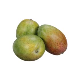Mango Keitt Egypt