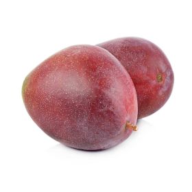 Mango Palmer Brazil