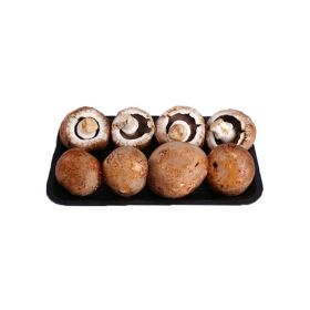Brown Mushroom Holland