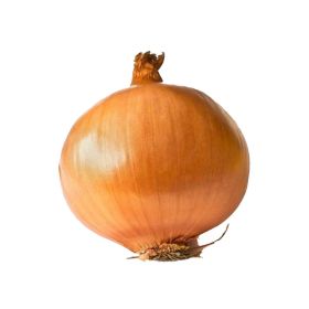 Brown Onion Spain