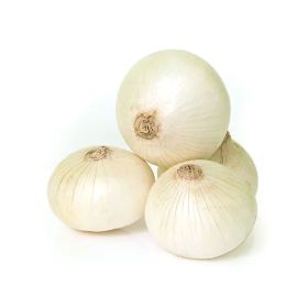 Onion White Spain