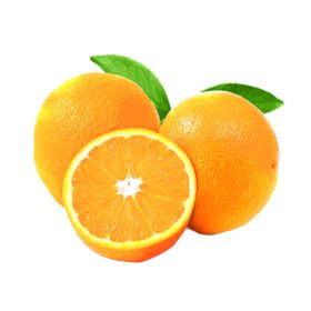 Navel Orange Egypt