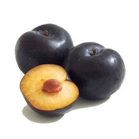 Black Plum Australia