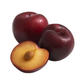 Plum Red South Africa