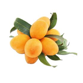 Marian Plum Lebanon