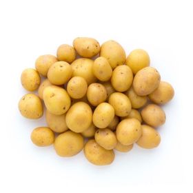 Baby Potato Holland