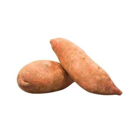 Sweet Potato South Africa