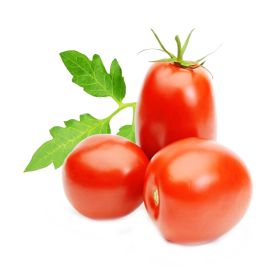 Tomato Roma Holland