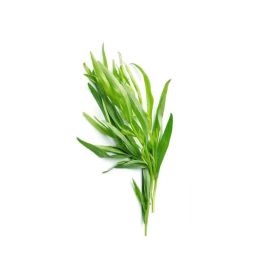 Tarragon Holland
