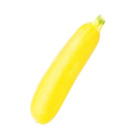 Zucchini Yellow Local