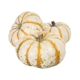 Halloween Lil Tiger Pumpkin USA