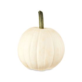 Halloween White Mini Pumpkin USA