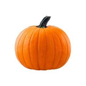 Halloween Large Pumpkin Netherland