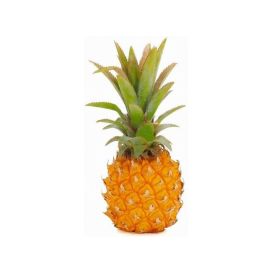 Baby Pineapple Mauritius