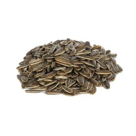 Salted Sunflower Seed China