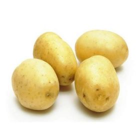 Potato Agria France
