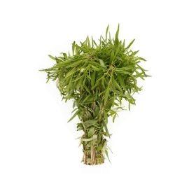 Zatar Bunch