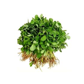 Methi Bunch