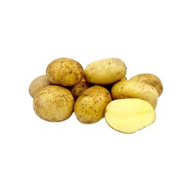 Potato Agria Lebanon