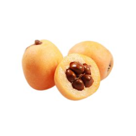 Loquat Australia