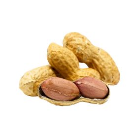 Roasted Shelled Peanuts