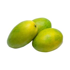 Mango Himapasanth India