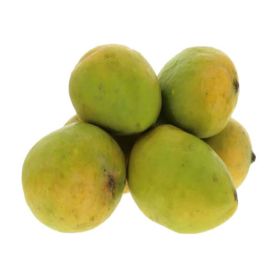 Mango Priyoor India