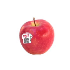 Apple Posy New Zealand