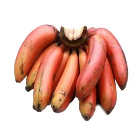 Banana Red India