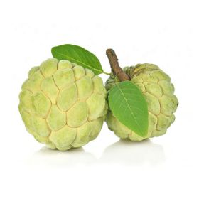 Custard Apple India