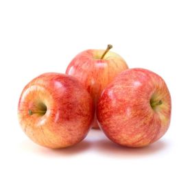 Royal Gala Apple Armenia