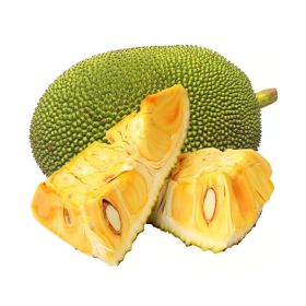 Jackfruit Raw India