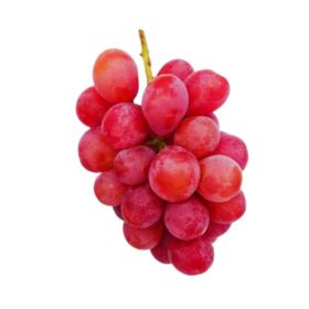 Premium Red Grapes (Queen Nina)