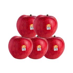 Sunrise Magic Apple USA