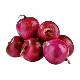 Onion Syria