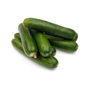 Cucumber Syria